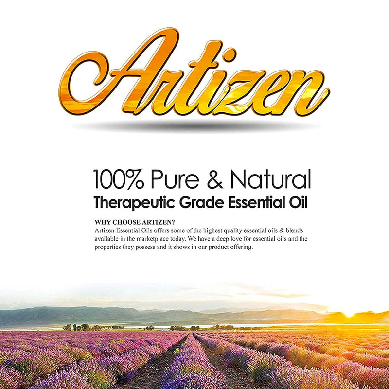 [Australia] - Artizen 30ml Oils - Birch Essential Oil - 1 Fluid Ounce 1 Fl Oz (Pack of 1) 