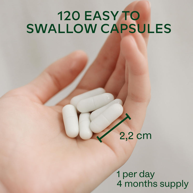 Multivitamin Complex with 25 Vitamins and Minerals + Ashwagandha and Rhodiola Rosea - Multivitamin Tablets for Women and Men - with Vitamin C & Vitamin D - Multivitamins and Minerals - 120 Capsules