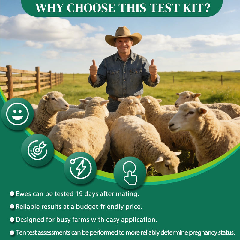 10-Pack Sheep & Goat Early Pregnancy Test - Detect Pregnancy in 5-10 Minutes with Urine, Easy Home Breeding Confirmation Kit for Accurate Livestock Management
