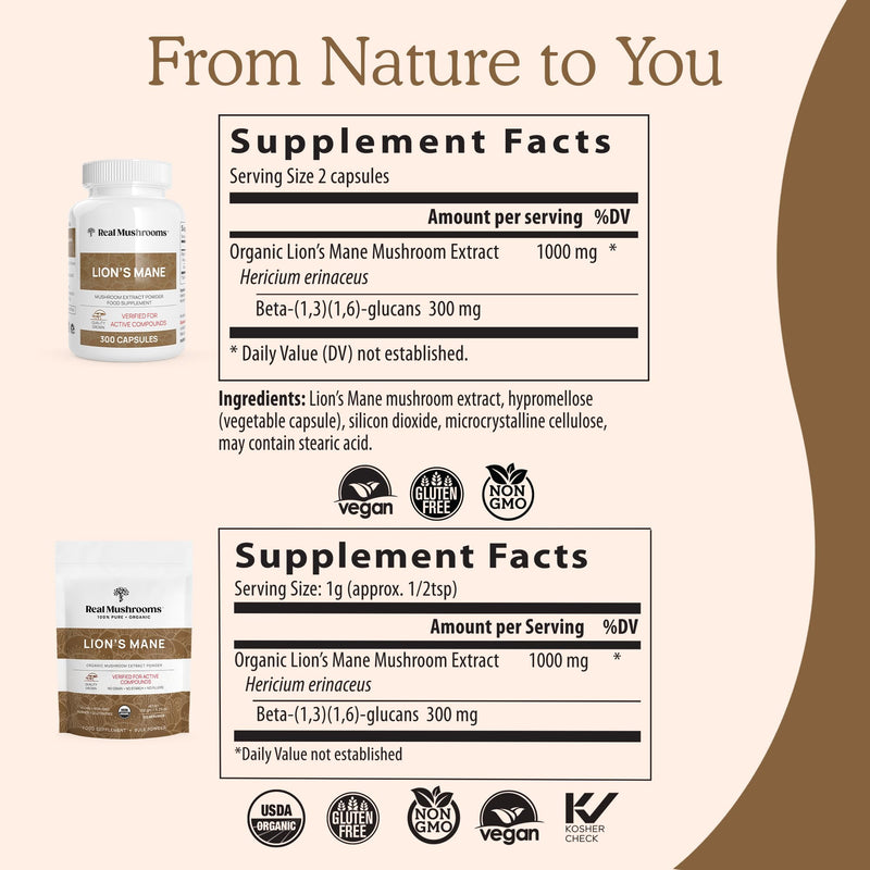 Real Mushrooms Lion’s Mane Powder - Organic Lions Mane Mushroom Extract for Cognitive Function & Immune Support - Brain Supplements for Memory and Focus - Vegan Mushroom Supplement, 60 Servings Lions Mane Powder 60 g (Pack of 1)