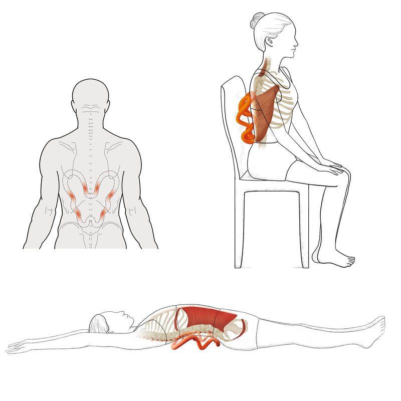 [Australia] - Shoulder Deep Tissue Massager, Myofascial Trigger Point Relieve Scapular Pain, Upper Back Pain, Release Psoas & Levator Scapulae,Pelvis Pain, Hip Flexor Pain 