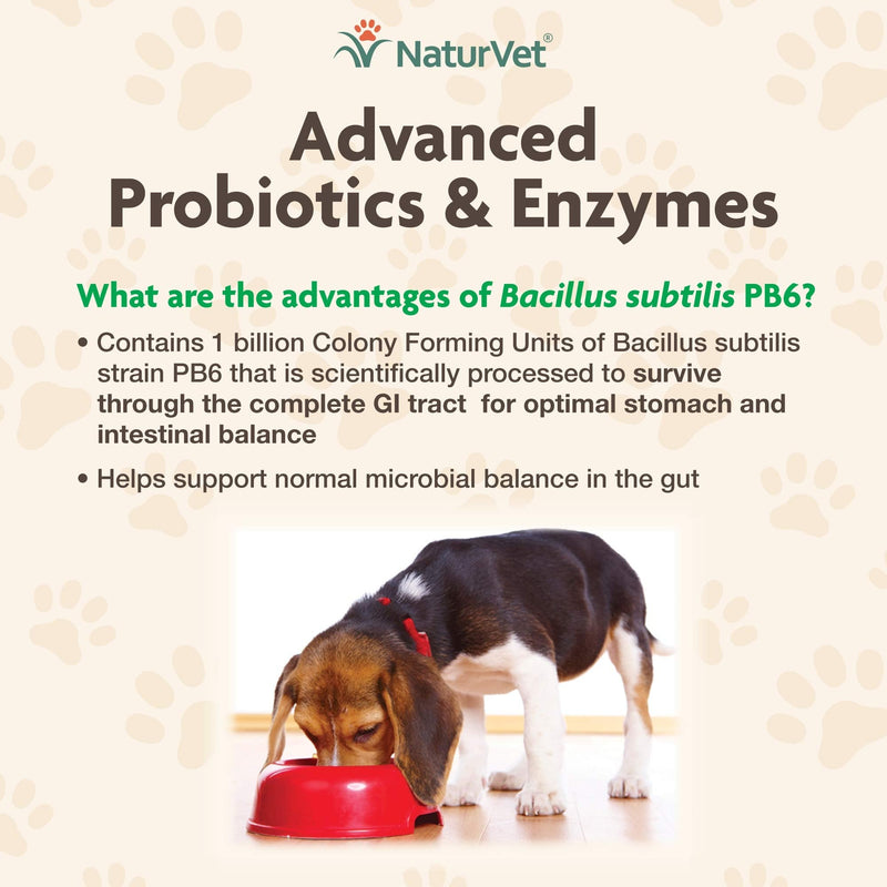 NaturVet Advanced Probiotics and Enzymes Supplement Digestive Enzymes - Plus Probiotics & Prebiotics Soft Chews, 70 Count Made in The USA with Globally Source Ingredients 70 Soft Chews - PawsPlanet Australia