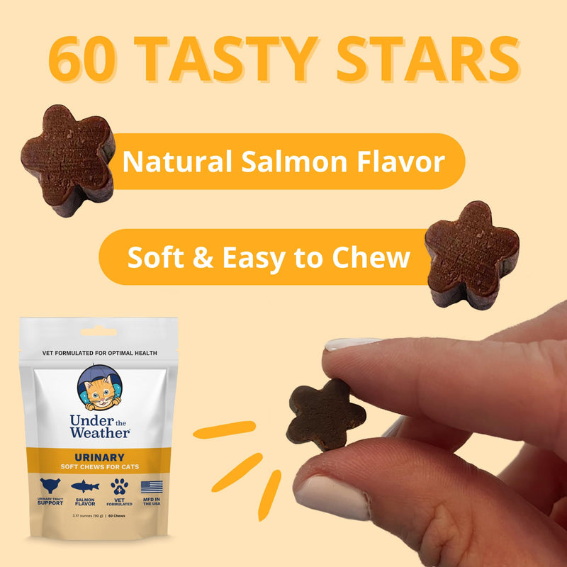 Under The Weather Pet Urinary Tract Support Chews for Cats | Promote Healthy Urinary Function in Cats | 60 Star Shaped Soft Chews - PawsPlanet Australia