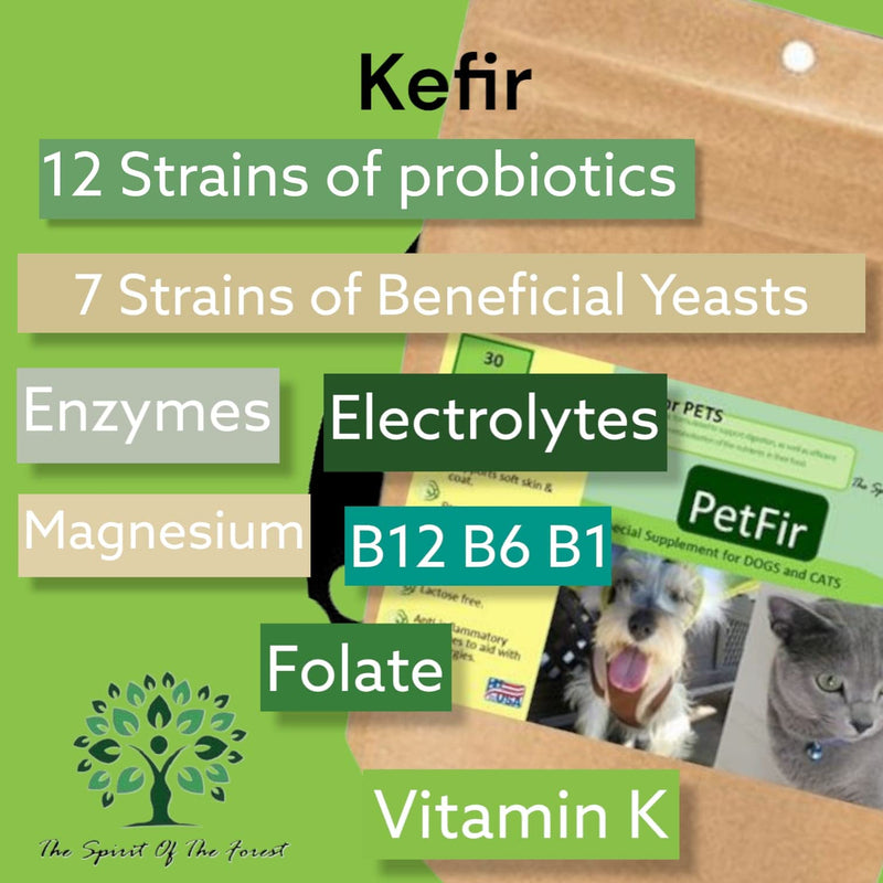 Petfir Pack Kefir for Dogs and Cats Supplement Pets probiotic dog advanced probiotic formula for dog (50 gr) 50 gr - PawsPlanet Australia