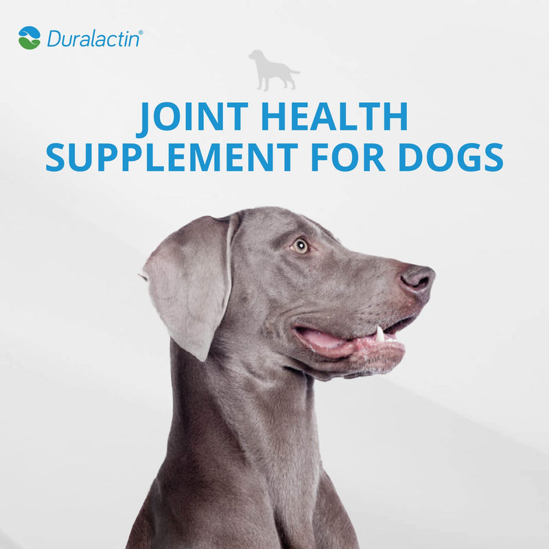 PRN Pharmacal Duralactin Canine Soft Chews - Joint Health Supplement for Dogs & Puppies to Help Reduce Chronic Soreness - Canine Chews Containing Dried Milk Protein - Chicken-Liver Flavor - 90 Chews - PawsPlanet Australia