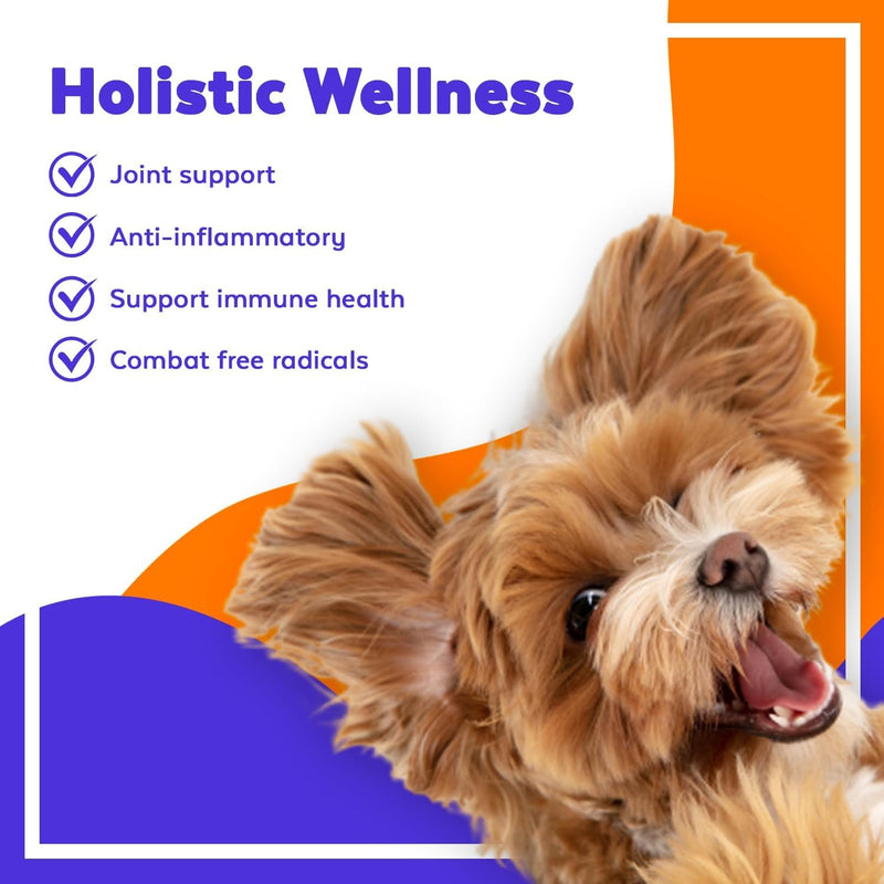 Supplement Anti Inflammatory for Dogs with Turmeric, Hip, and Joint - Dog Arthritis Pain Relief, Support for Mobility & Wellness, USA Made-GMP Certified, Non-GMO, 120 Tablets - Jack & Milo Anti-Inflammatory - PawsPlanet Australia
