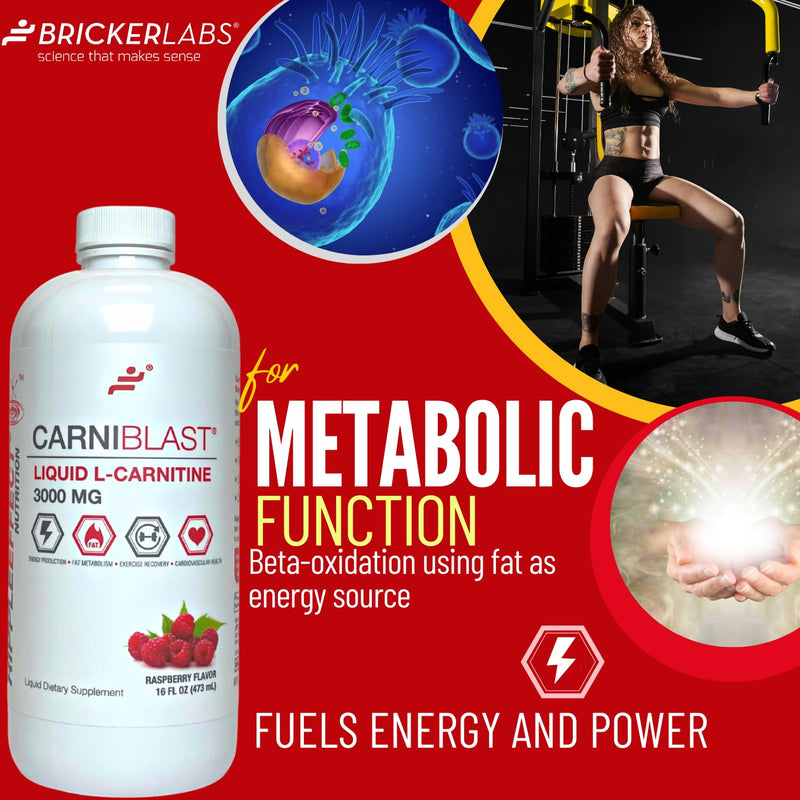 [Australia] - CARNIBLAST Liquid L-Carnitine 3000mg, Premium L Carnitine Carnipure, Energy Nutrition, Energy Supplement and Energy Booster, Raspberry, 16 fl oz 