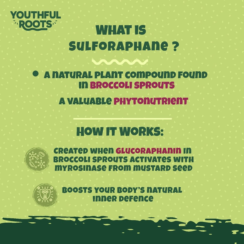 Sulforaphane Supplement Gummies | Broccoli Sprout Extract with 34.5mg Glucoraphanin, Antioxidant, Multivitamin A to K, Zinc | 90 Gummies with Strawberry Flavour | Immune & Mood Support