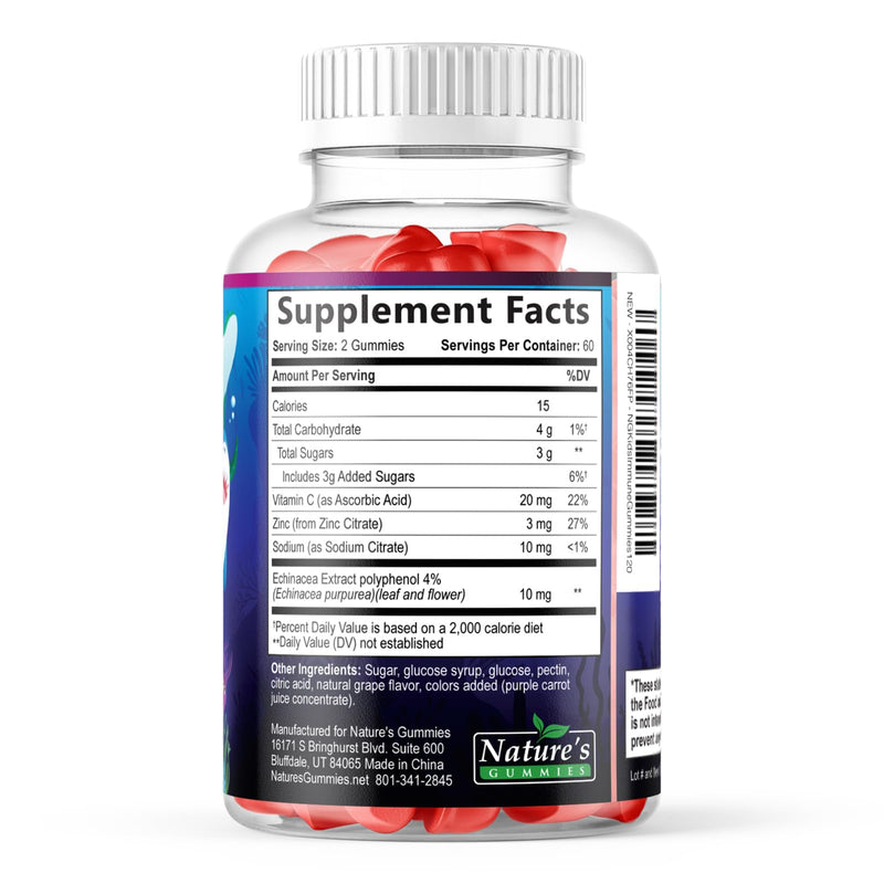 Kids Immune Support Supplement Gummies - Daily Childrens Vitamins C, Zinc & Echinacea - Gummy for Kids Immune Support, Ages 4 and Up, Natural Berry Flavor, Non-GMO, Gluten-Free & Vegan - 120 Gummies 120 Count (Pack of 1)