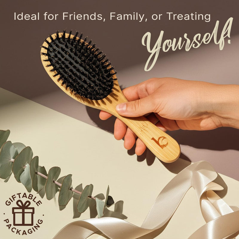 [Australia] - Boar Bristle Hair Brush for Women and Men, Natural 100% Soft Boars Hairbrush for Fine and Thin Hair Pack of 1 100% Boar Bristles 