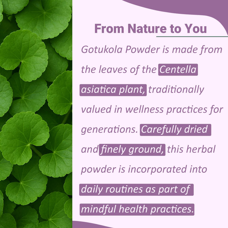 [Australia] - minature Gotu Kola Powder (227g)(8Oz) | 100% Natural Centella Asiatica for Wellness & Skincare| Herbal Powder for Tea, Smoothies & Face Packs 