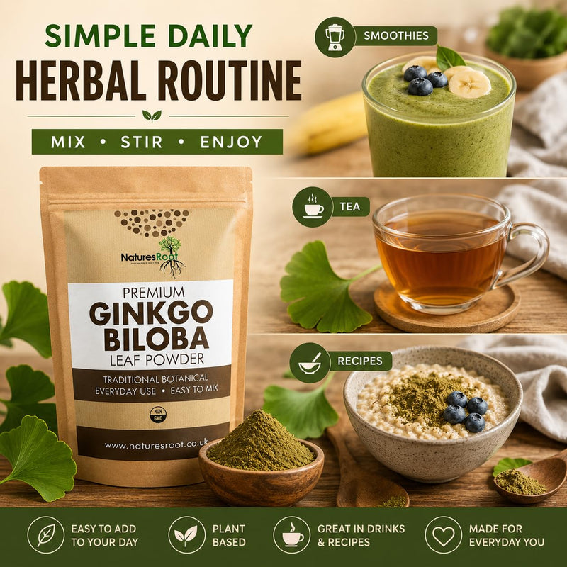 Nature’s Root Organic Ginkgo Biloba Powder 250g – Premium Botanical Leaf Powder – Vegan Herbal Supplement – Fine Milled Powder for Smoothies, Tea & Daily Wellness Routine 250 g (Pack of 1)