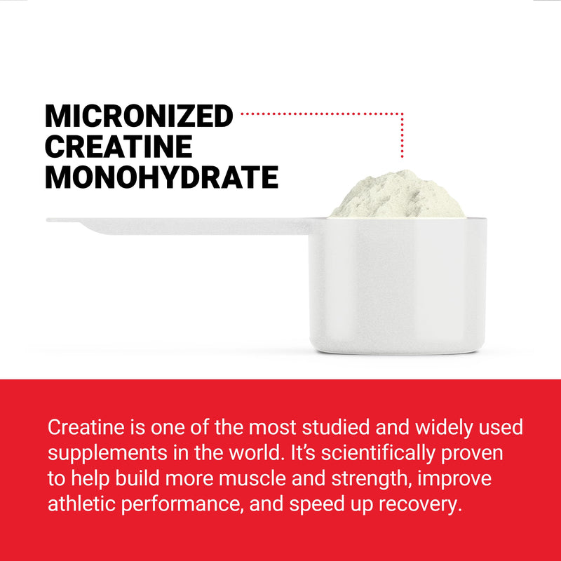 Force Factor Creatine Powder 60 Servings and Vitamin B Complex 60 Capsules Bundle for Muscle Gain, Strength, Energy, and Faster Recovery Nutritional Supplement+ Vitamin B Complex