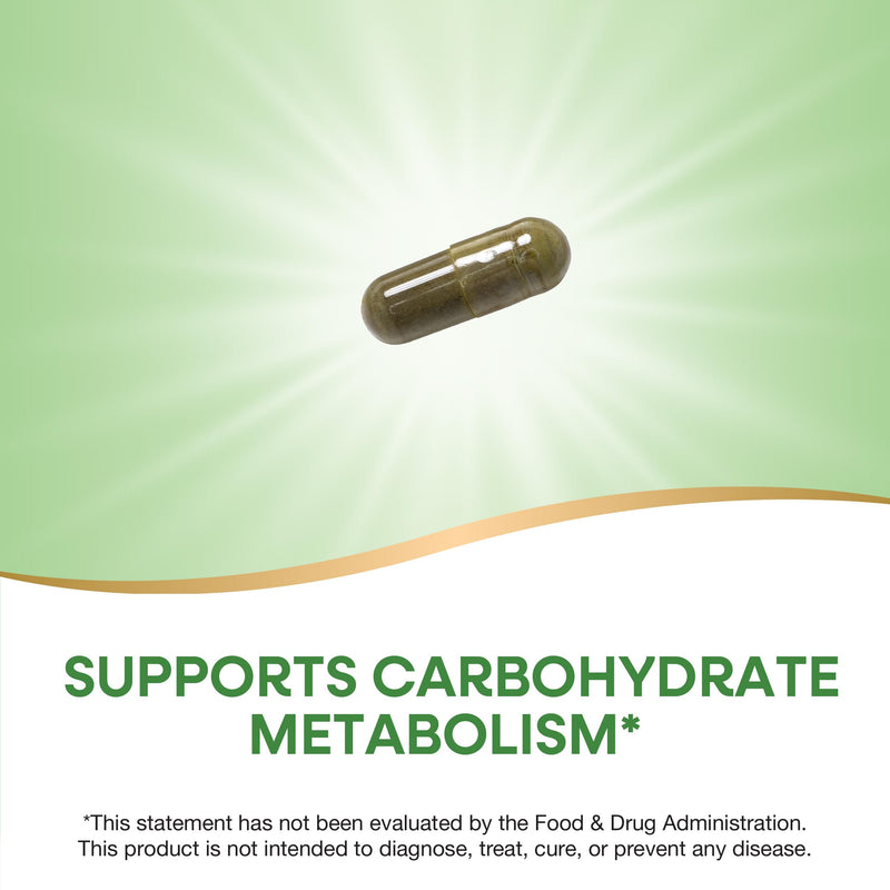 [Australia] - Nature's Way Gymnema Premium Extract, Supports Carbohydrate Metabolism*, 500 mg per Serving, Non-GMO Project Verified, 60 Vegan Capsules (Packaging May Vary) 