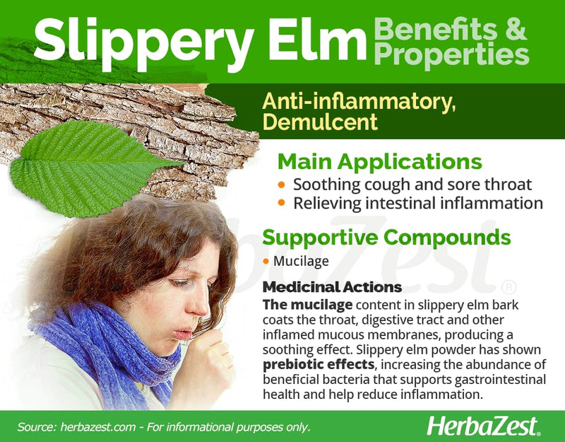 AMINOLAB - Slippery Elm Bark 5000mg 240 Capsules - Supports Throat & Respirtory Health, Relieves Heart Burn - HIGH in Fibre