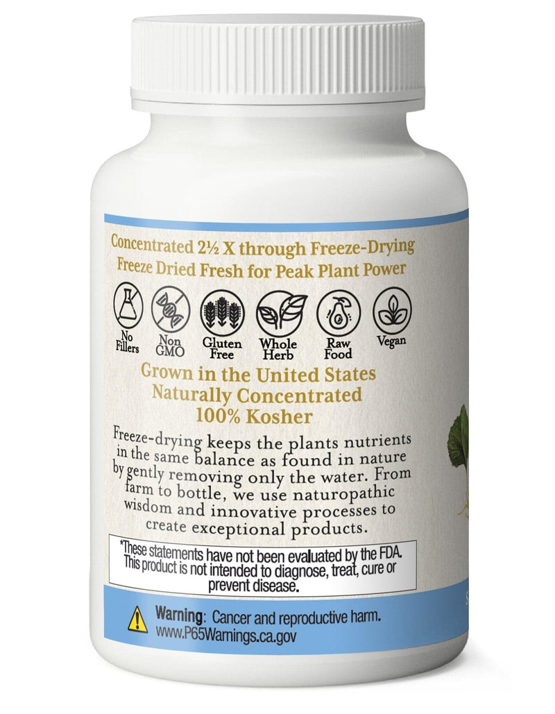 [Australia] - Eclectic Institute Non-GMO Gotu Kola | Circulatory, and Cognitive Support | 90 CT (300 mg) Blue 90 Count (Pack of 1) 