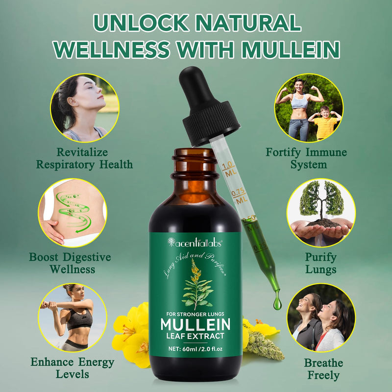 [Australia] - Mullein Drops for Lungs, Natural Mullein Leaf Extract, Mullein and Chlorophyll Drops for Lungs, Breathing Support Supplement (2 Fl Oz/1Pack) 2 Fl Oz (Pack of 1) 