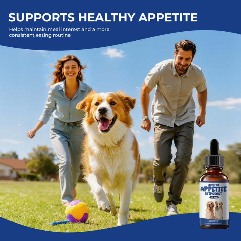 Liquid Vitamin B12 Appetite Stimulant for Dogs, Methylcobalamin Supplement | Methylcobalamin (Methyl B12) Drops to Boost Appetite, Energy, Mood & Recovery, Bacon Flavor Dog Supplement, 2 fl oz
