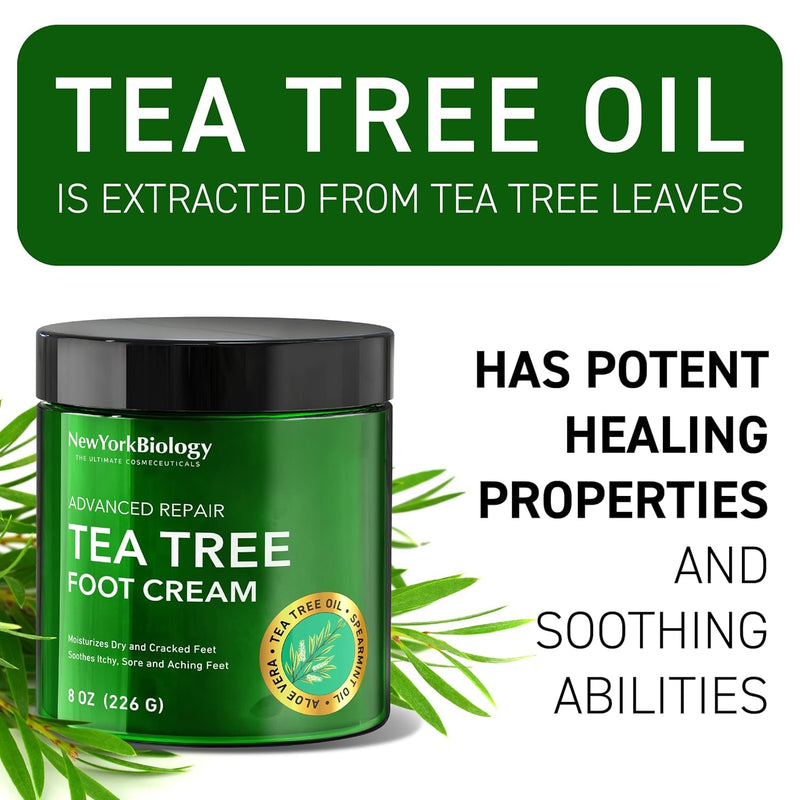 New York Biology Tea Tree Oil Foot Cream for Dry Feet and Rough Heels - Moisturizing Foot Cream - 8 oz - Pack of 2 Tea Tree Oil - 8.00 Ounce (Pack of 2) 8.00 Ounce (Pack of 2)