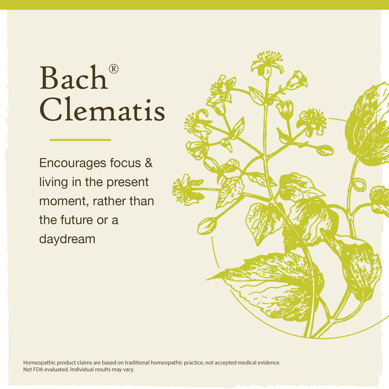 [Australia] - Bach Original Flower Remedies, Clematis for Focus and Concentration (Non-Alcohol Formula), Natural Homeopathic Flower Essence, Holistic Wellness and Stress Relief, Vegan, 10mL Dropper 