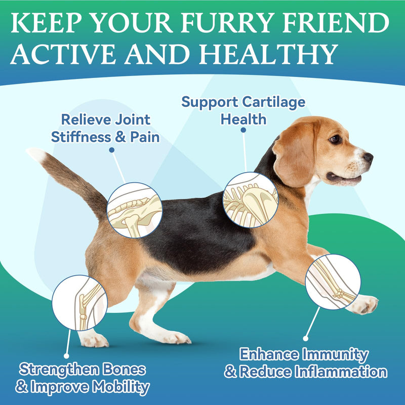 Joint Supplement for Dogs - Dog Joint Supplement Glucosamine for Dogs Hip and Joint Chondroitin Chews Treats for Dogs with MSM Lipid Mussels Vitamins Dog Hip and Joint Supplement for All Breed 200pcs - PawsPlanet Australia