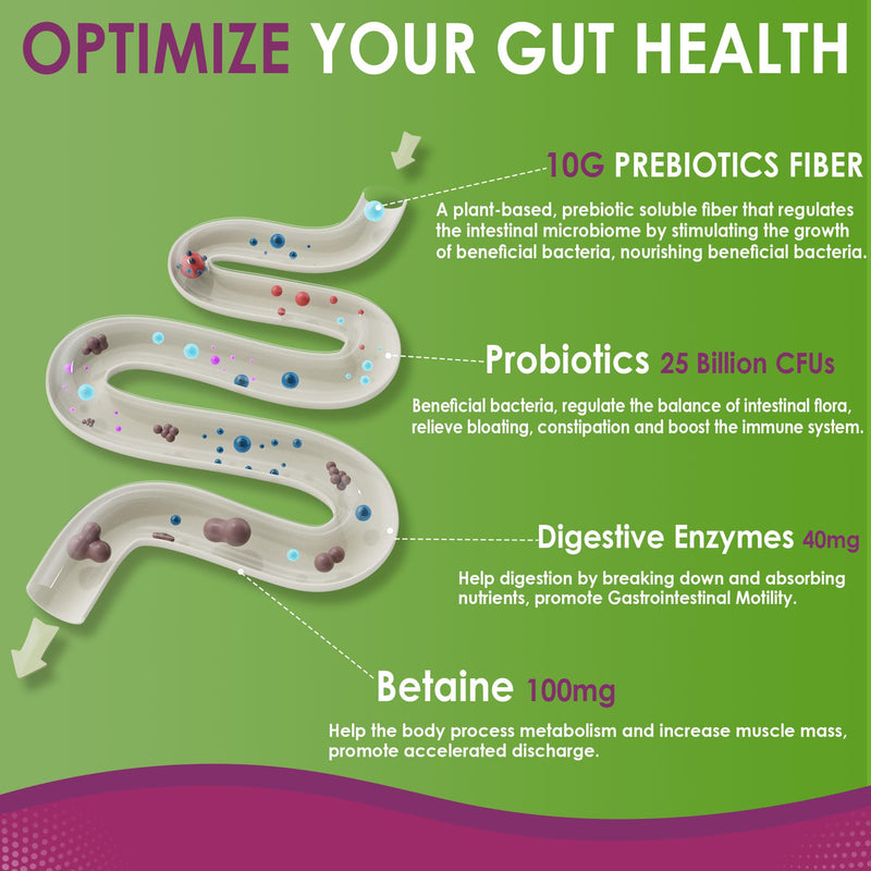 [Australia] - Fiber Gummies for Adults, Sugar Free 10g Prebiotic Fiber Supplement with Digestive Enzymes, Probiotics & 100mg Betaine for Digestive & Gut Health and Regulate Bowel Movement, Vegan, Gelatin Free,120ct 60 Count (Pack of 2) 