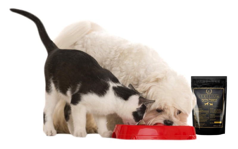 Nursing Supplement and Vitamins for Nursing Dogs and Cats - Nursing, Lactation and Recovery Supplement for Breeders - Muscle & Mental Development for Puppies and Kittens - 200g - PawsPlanet Australia