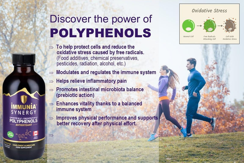 Synergy. Elderberry Supplement for Immune System Support - Powerful Natural Antioxidant. POLYPHENOLS Concentrate. Elderberries from Canada (1-Pack) 1 count (Pack of 1)