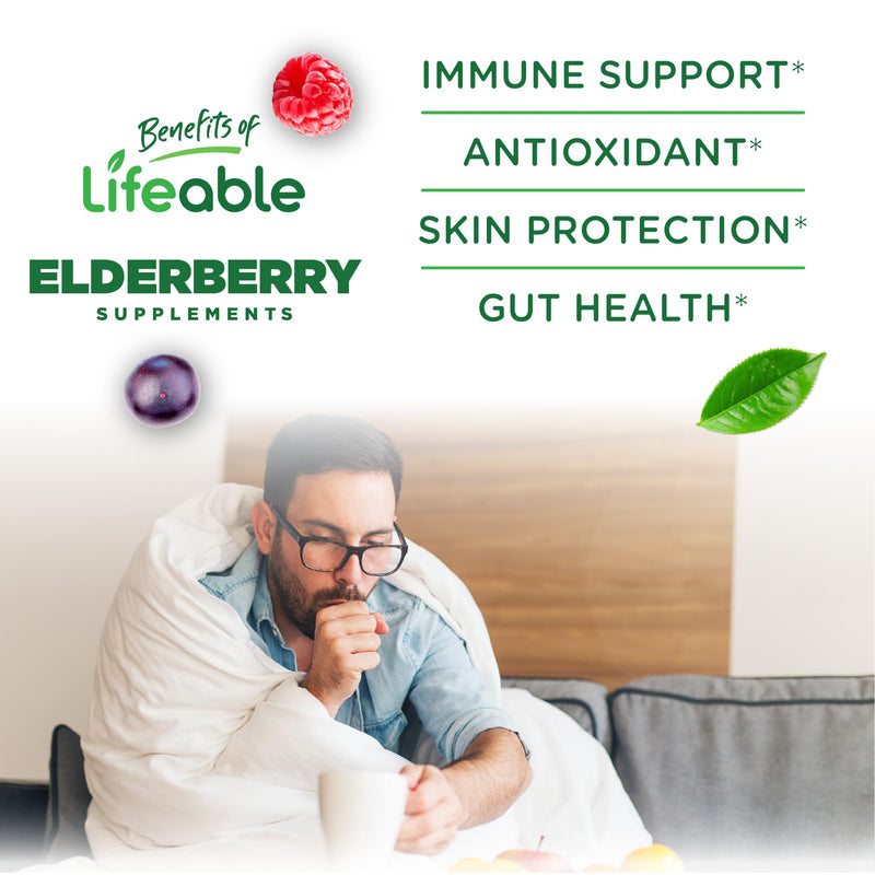 Lifeable Sugar Free Elderberry Gummies with Vitamin C and Zinc | Great Tasting Sambucus Elderberry Immune Support Supplement | Kosher, Vegan, Non GMO Black Elderberry for Adults | 60 Gummies