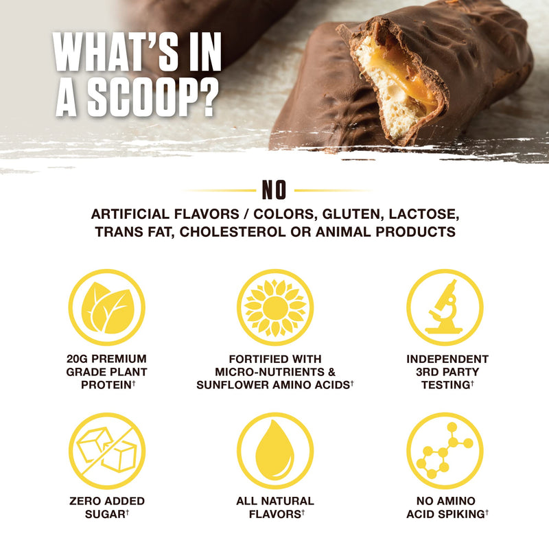 [Australia] - Ambrosia Planta - Premium Organic Plant-Based Protein | Vegan & Keto Friendly | Gourmet Flavors with No Bloating or Stomach Upset | Gluten & Soy Free | No Added Sugar | 14 Servings | (Candy Bar) Candy Bar 