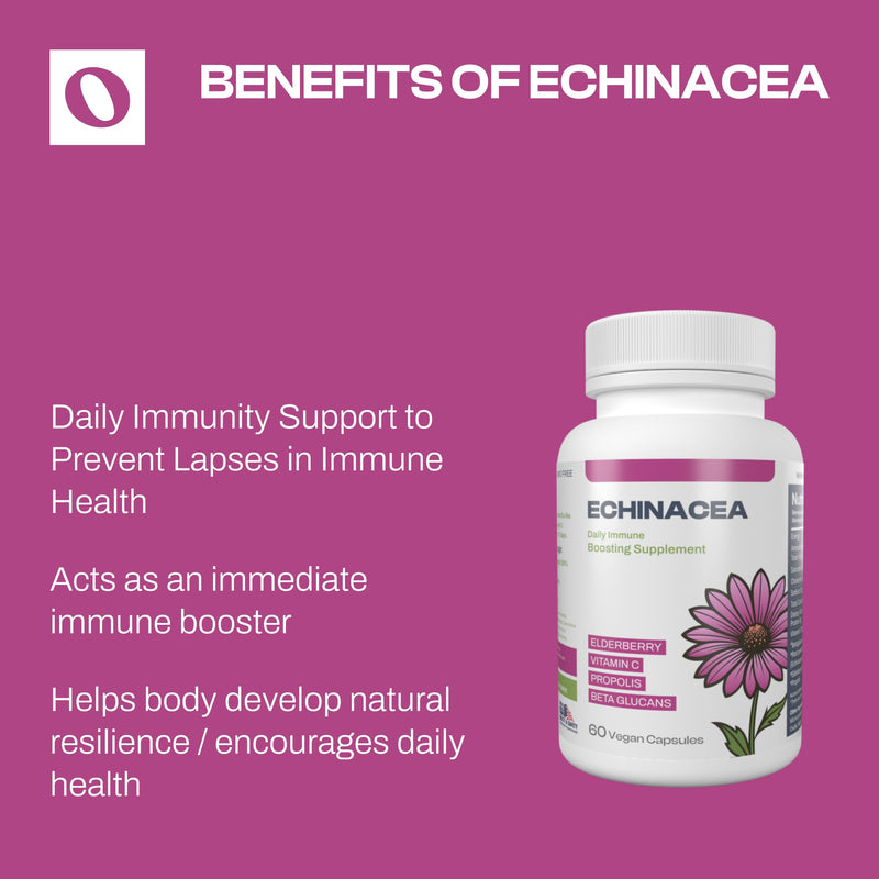 Echinacea Dietary Supplement with Elderberry, Propolis, Vitamin C & Beta Glucans – Daily Wellness Capsules for Adults (60 Count)