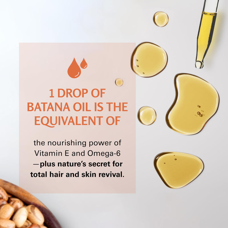 [Australia] - M3 Naturals Batana Oil for Hair Growth & Skin ‚Äì Dr. Sebi 100% Pure, Unrefined & Cold-Pressed from Honduras ‚Äì For Thicker Hair, Stronger Strands & Smoother Skin ‚Äì Vegan, Non-GMO ‚Äì 2 FL OZ Batana Oil 1 Pack 