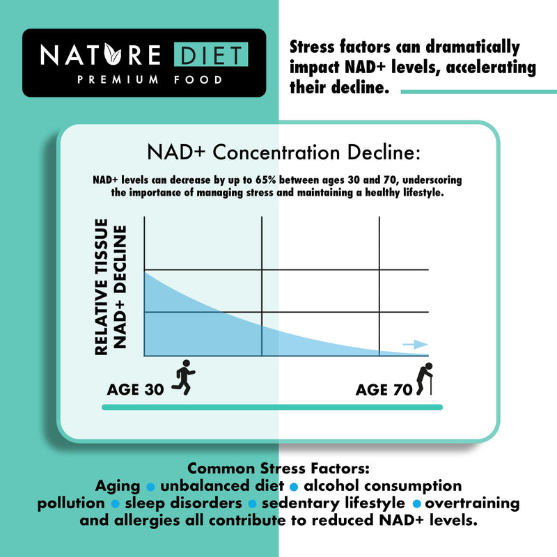 NAD+ Booster - NR - 300mg Nicotinamide Riboside - 60 Vegan Capsules - Supports Healthy Aging - by Nature Diet