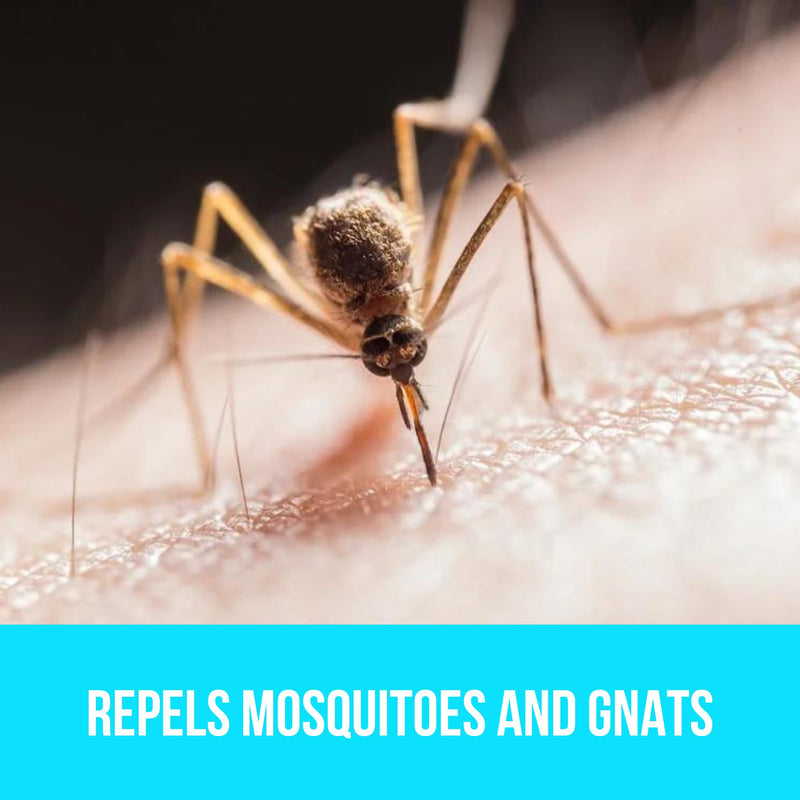 [Australia] - BUGGINS - Original Insect Repellent - Mosquitoes & Gnats, DEET Free, Non-Greasy - 4 oz Pump Spray Bottle - 3 Pack 
