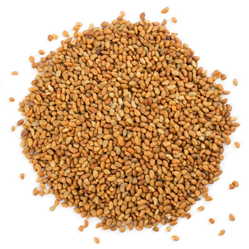 [Australia] - Food to Live Organic Alfalfa Sprouting Seeds, 1 Pound - Non-GMO, Kosher, Sproutable, Raw 1 LB 