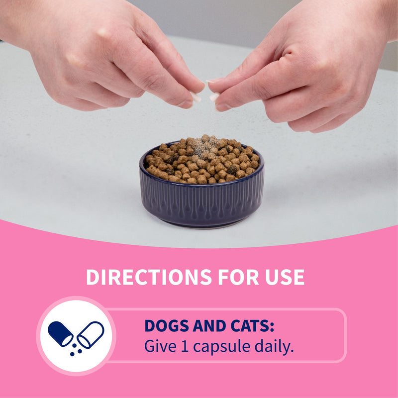 Nutramax Proviable Probiotics + Prebiotics, for Dogs & Cats, Capsules, 80ct | Probiotics and Prebiotics for Cats and Dogs, Daily Gut Health Support Supplement, Multiple Strains, Sprinkle on Food 80 Count
