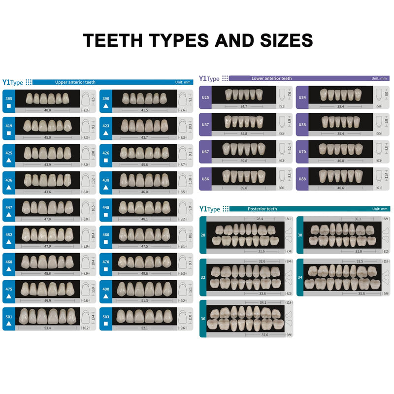Easyinsmile Dental Synthetic Resin Teeth A2 A3 False Upper Lower Teeth Replacement Dentures for Halloween (A2, Full Set 468+U67+34)