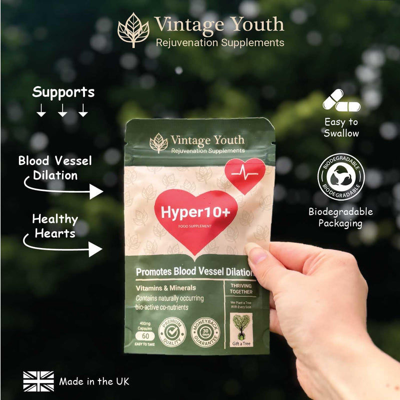 Hyper10+ Blood Pressure Support Supplement | Promotes Cardiovascular Health and Blood Vessel Dilation | Supports Healthy Blood Pressure