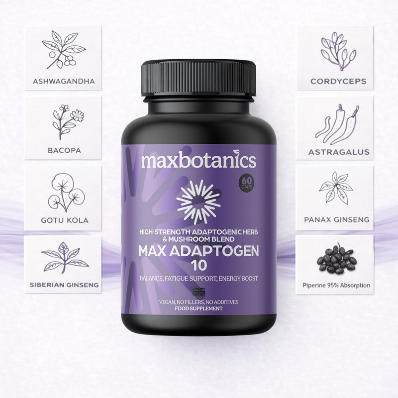 Max Adaptogen 10 Balance, Fatigue, Energy Boost & Stress Support 10-Herb Adaptogen High Strength Mushroom Blend with Ashwagandha, Rhodiola & Ginseng Natural Vegan UK Made (120 Capsules) 120 count (Pack of 1)