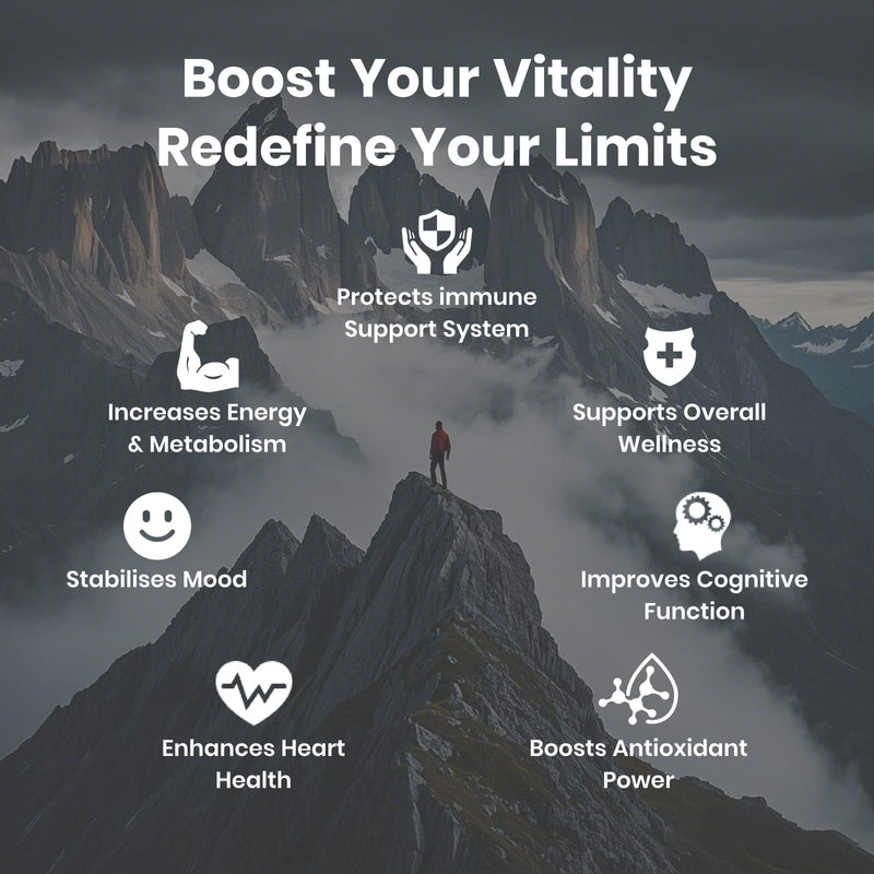 [Australia] - Shilajit for Men Women, Shilajit with Naturally Fulvic Acid & L-Arginine, Himalayan Shilajits for Extra Power, Stamina & Immune Support, Non-GMO, Made in USA, 60 Capsules, 1,300mg Per Serving 1 Pack Shilajit 