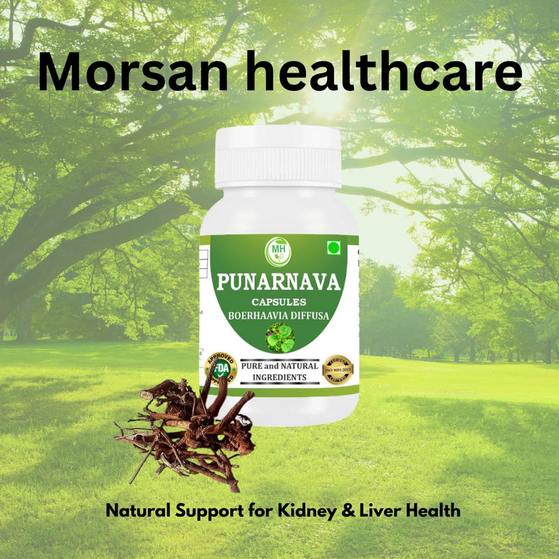 [Australia] - Punarnava Capsules (Boerhaavia Diffusa) 500mg ‚Äì 60 Veg Capsules | Herbal Wellness Supplement for Natural Kidney & Liver Support | Plant-Based Detox & Cleansing Formula | Pack of 1 