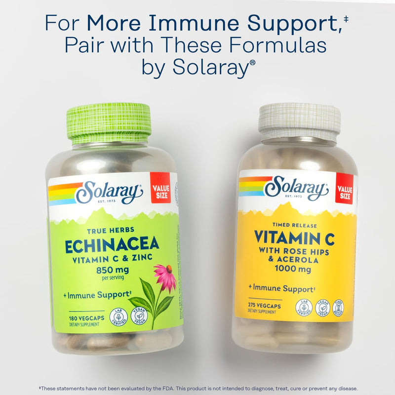 SOLARAY L-Lysine, Free-Form 1000 mg, Essential Amino Acid Immune Support Supplement with Vitamin C 1,000 mg and Zinc 25 mg, Value Size, Lab Verified, 60-Day Guarantee, 60 Servings, 180 Tablets 180ct