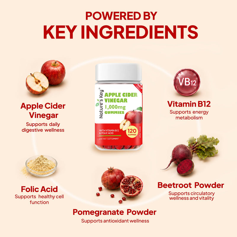 Nature's Key Apple Cider Vinegar Gummies -1000mg ACV Gummies Apple Cider with b12|Folic Acid|Vitamin B6|B12 |Beetroot |Pomegranate|Superfood|, Vegan, Non-GMO, Gluten Free 120 Count (Pack of 1)
