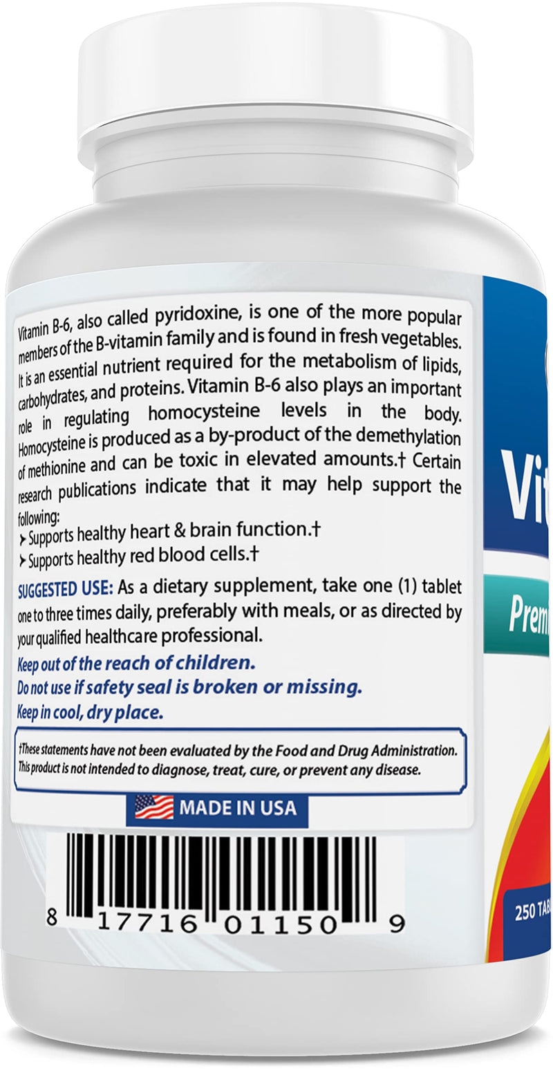 Best Naturals Vitamin B6 25mg 250 Tablets (250 Count (Pack of 2)) 500 Count (Pack of 1)