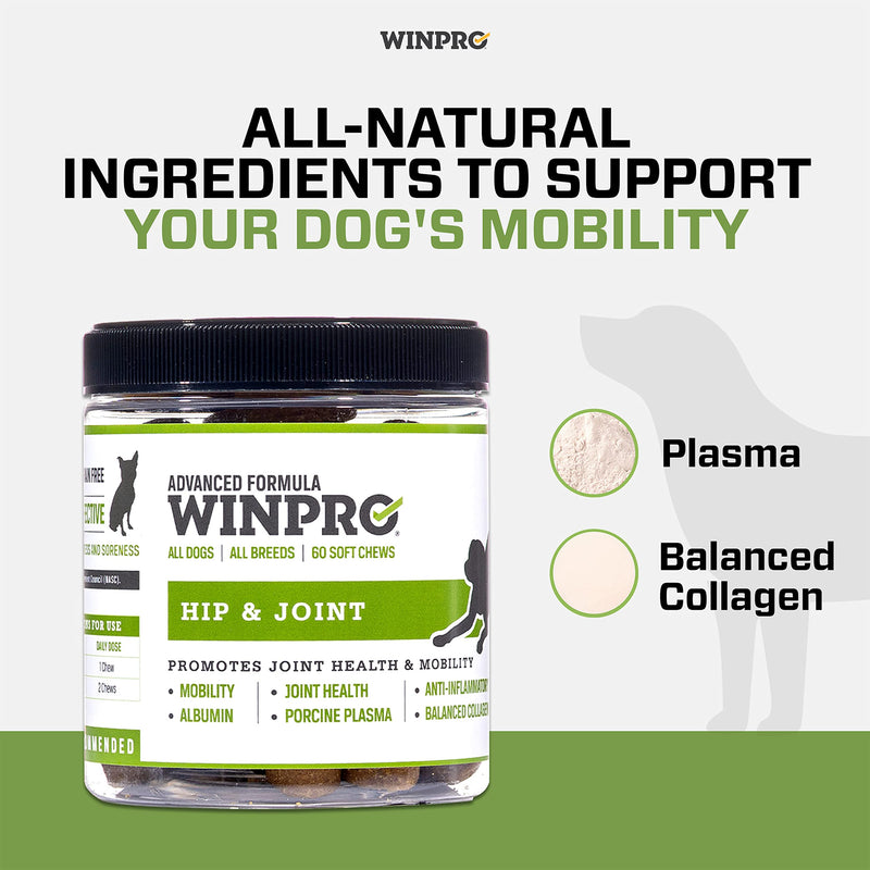 WINPRO | Dog Hip and Joint Supplement, Plasma-Powered Chews for Joint Support in Dogs of All Breeds and Sizes, Fast Acting with Collagen, 60 Count, Made in USA - PawsPlanet Australia