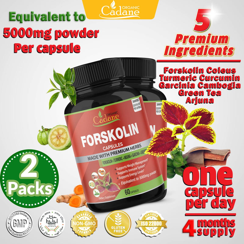 [Australia] - 2 Packs Organic Forskolin Supplements Capsules 5000mg with Turmeric, Arjuna, Garcinia Cambogia, Green Tea - Maximum Strength Coleus Forskohlii Extract - Support Energy Production & Immune System 