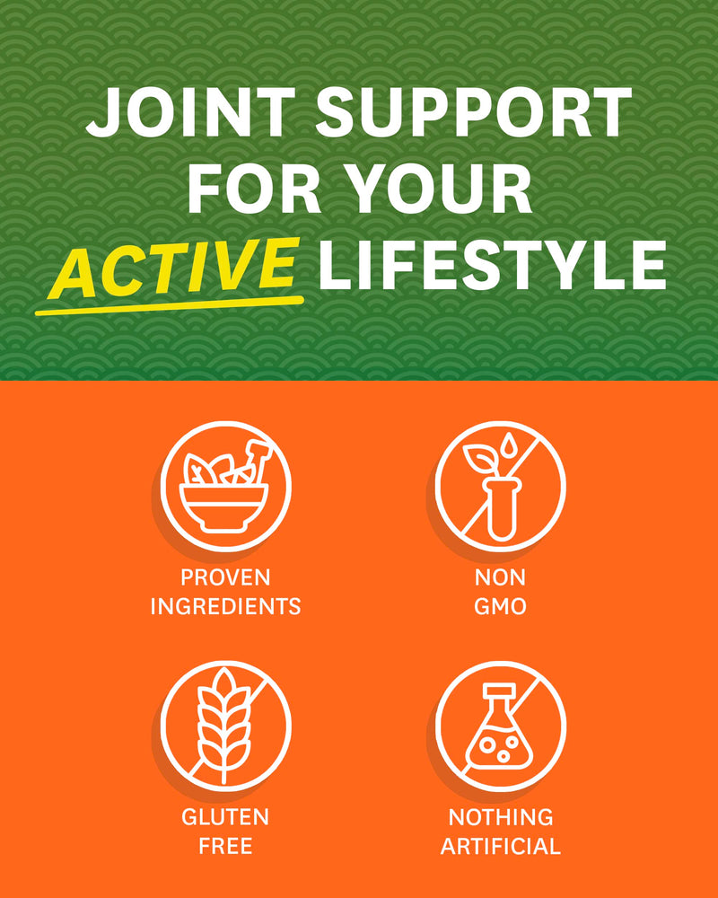 [Australia] - Zenwise Health Glucosamine Chondroitin MSM - Joint Support Supplement with Turmeric for Hands, Back, Knee, and Joint Health, Advanced Relief for Bone and Joint Flexibility and Mobility - 180 Capsules 180 Count (Pack of 1) 