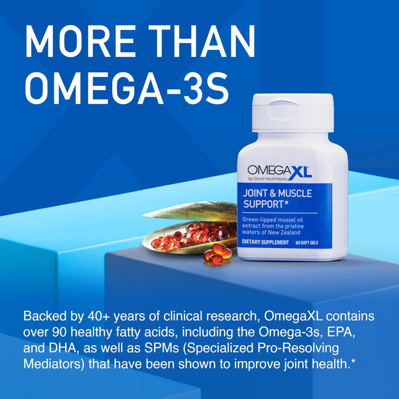OmegaXL Joint Support Supplement, 60 Count | Green Lipped Mussel Oil, Soft Gel Pill, Natural Joint and Muscle Support Supplement, Clinically Supported, Non-GMO, Drug-Free 60 Count (Pack of 1)