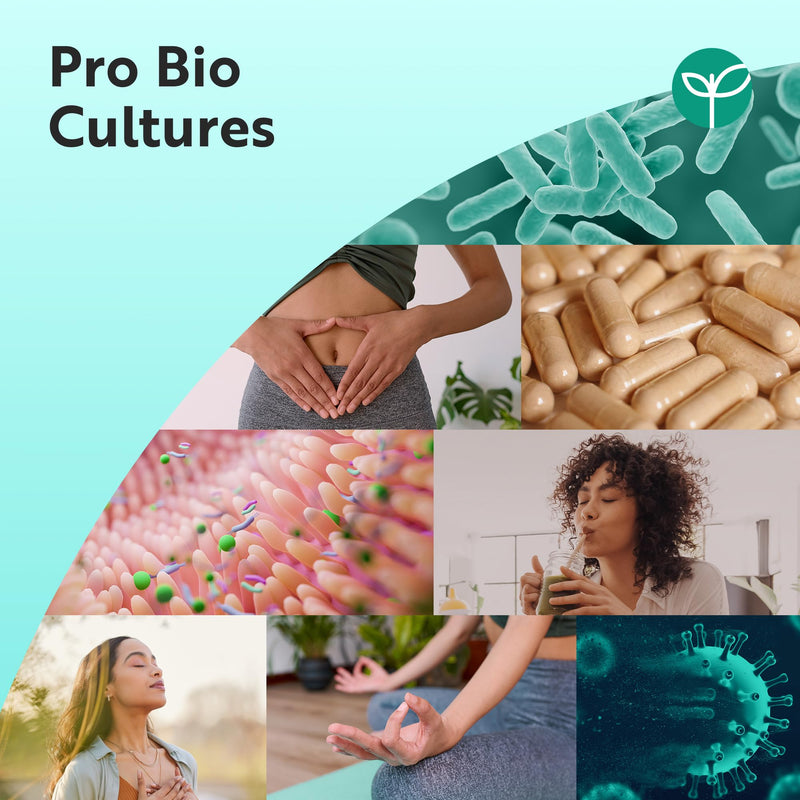 Nutravita 60 Billion CFU Probiotic Cultures, Scientifically Backed Lactospore®, 2 Packs of 60 Vegan Capsules, Enteric Coating to Ensure Probiotics are Delivered Directly to The Gut, Made in the UK 60 count (Pack of 2)