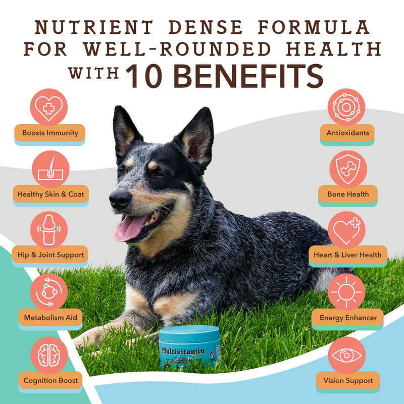 Natural Dog Company Wellness Bundle for Dogs, Salmon Oil for Dogs, multivitamin and Supplement, Itch Relief for Dogs - PawsPlanet Australia